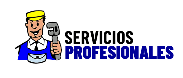 Servicios Profesionales