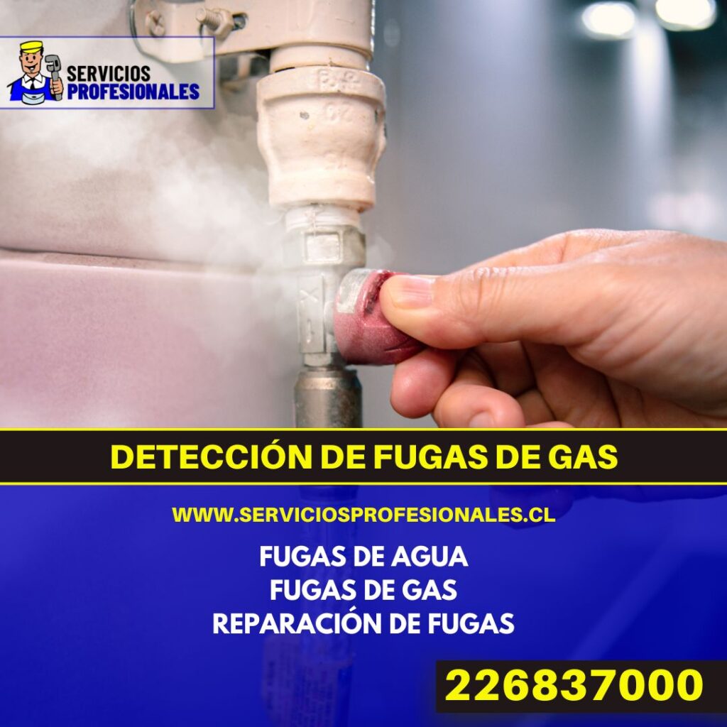 Detección de fugas de gas en Buin