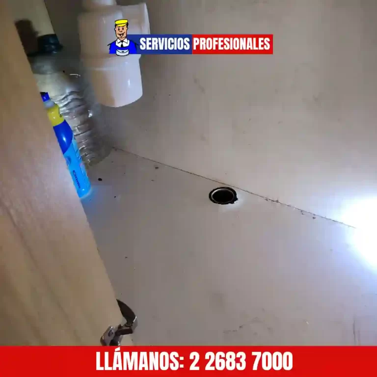 Destape de lavaplatos en Santiago