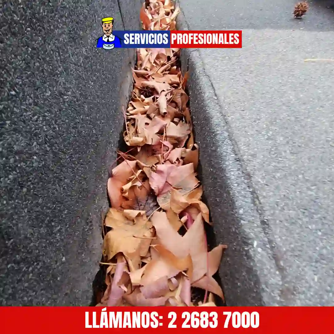 Sistema de canaletas instalado y funcionando