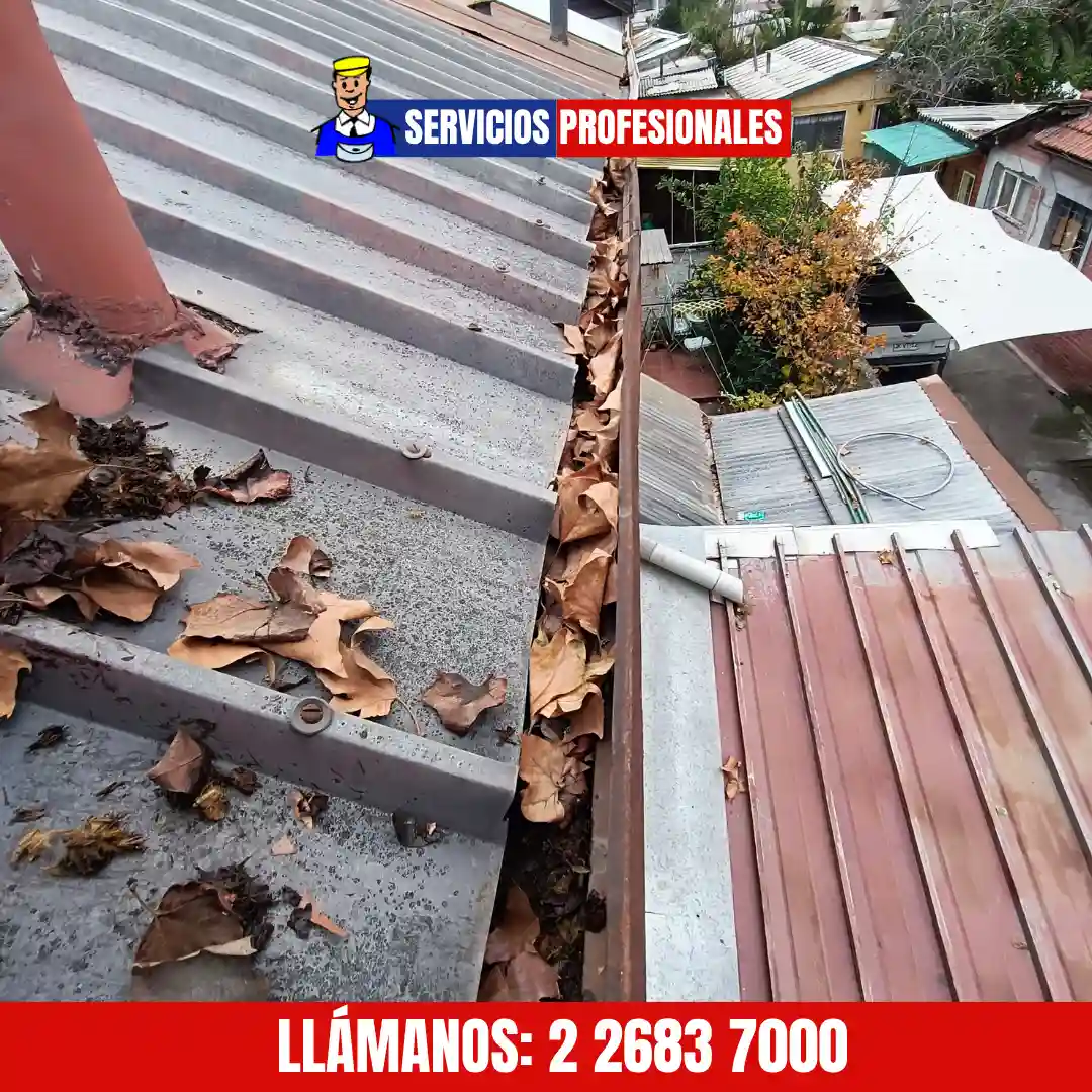 Limpieza y reparación de canaletas en vivienda