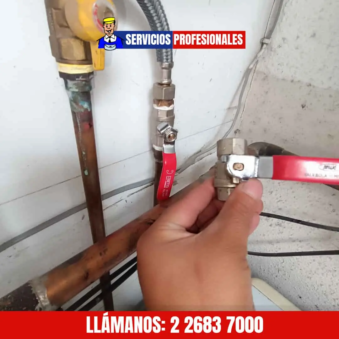 Normalización de red de agua y riego en propiedad