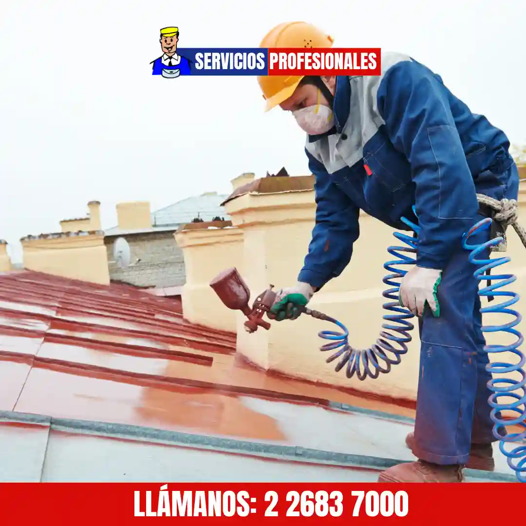 Pintura de techo de vivienda en Santiago