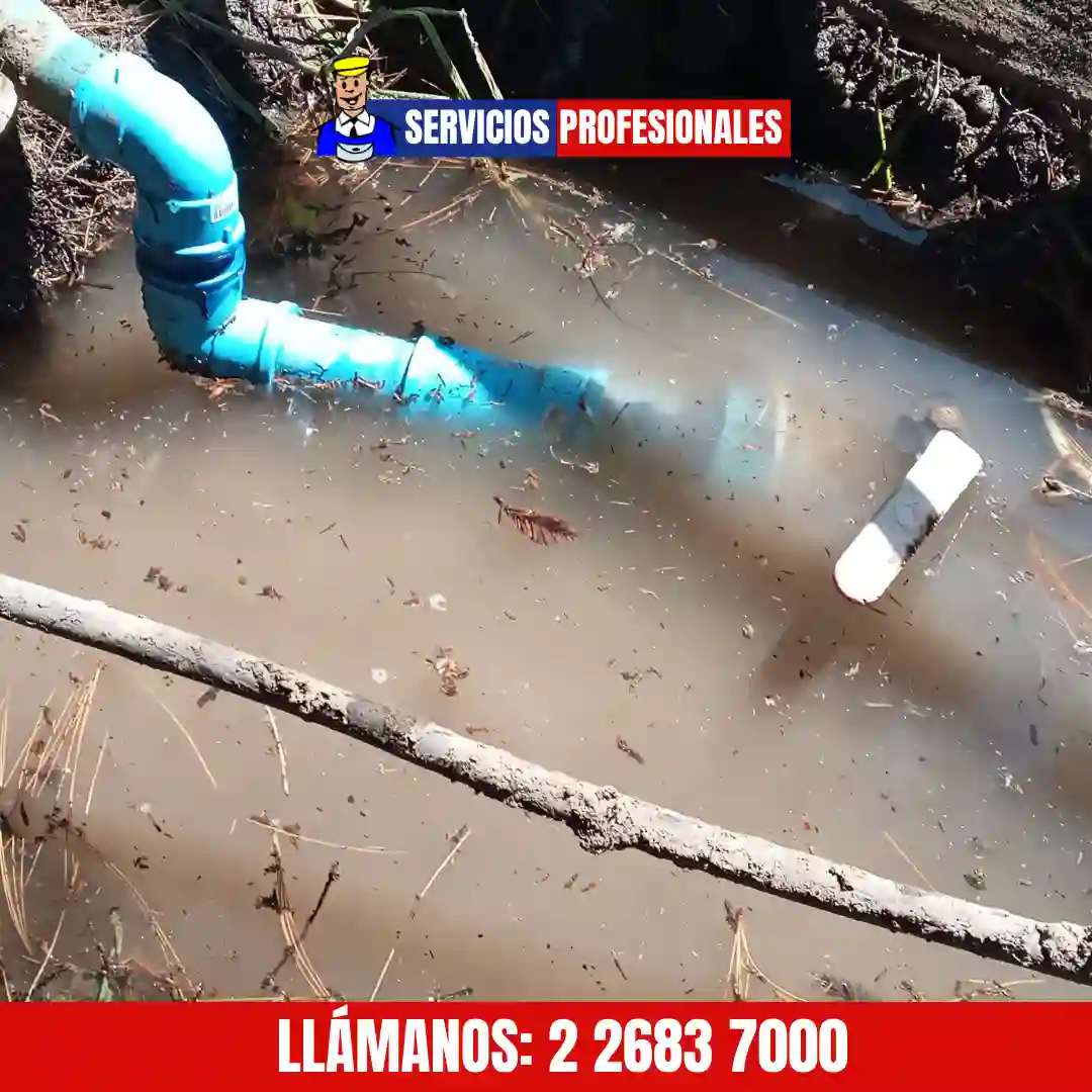 Reparación de filtraciones en líneas de riego