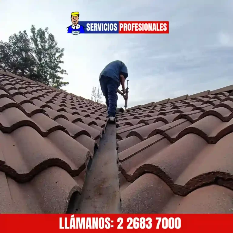 Reparación de techos en Santiago