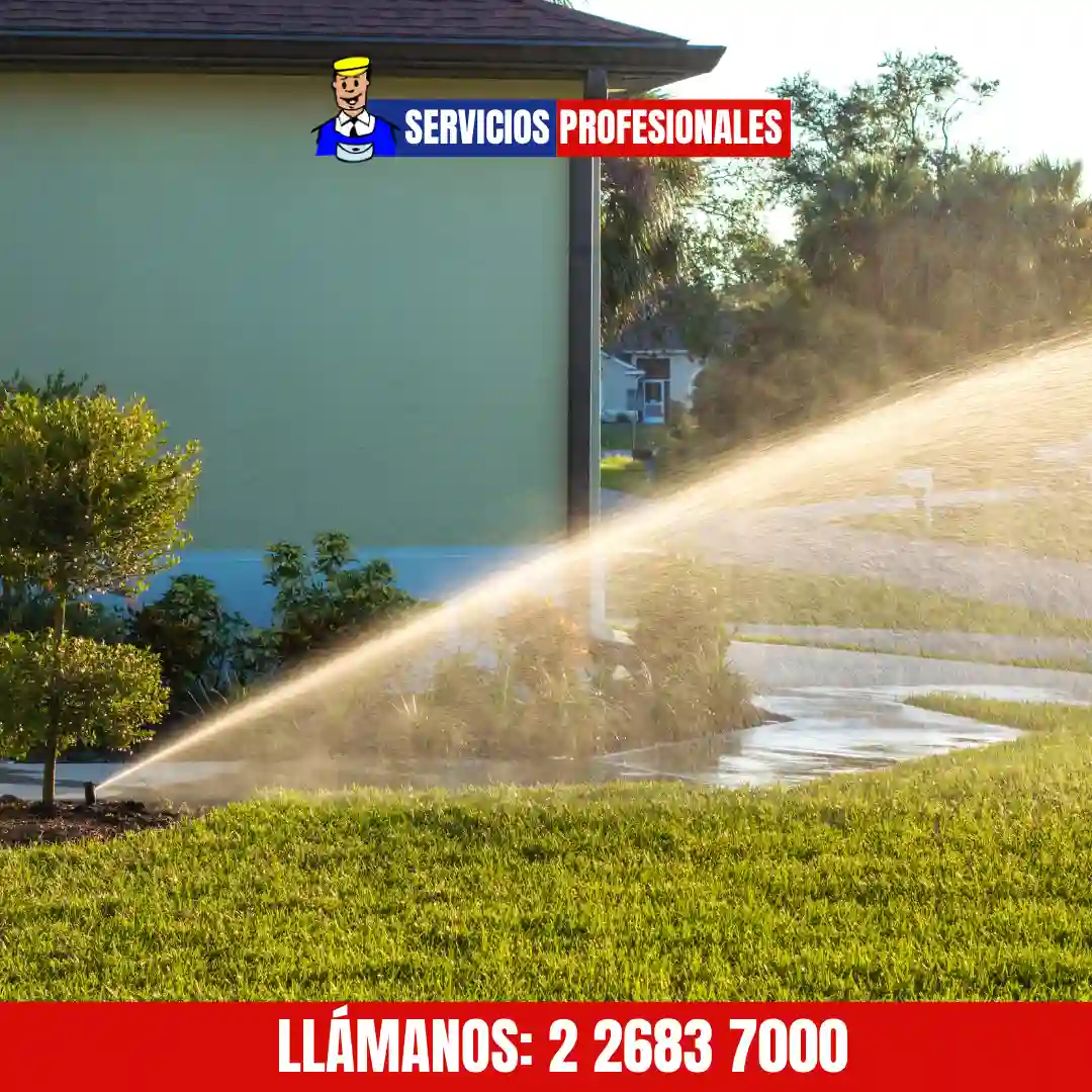 Instalación de riego automático en jardín residencial
