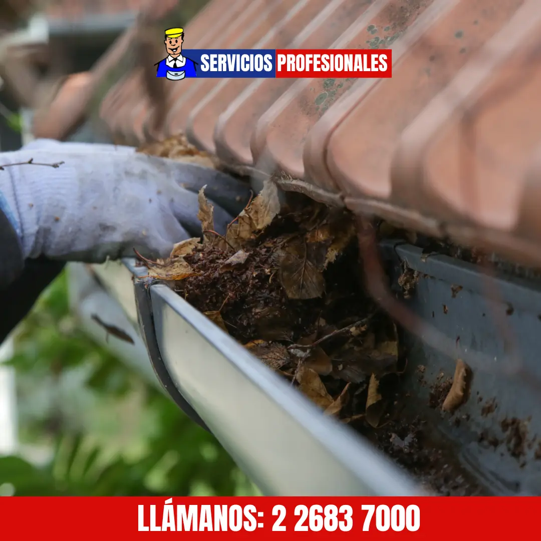 Cómo limpiar canaletas de forma segura en Santiago