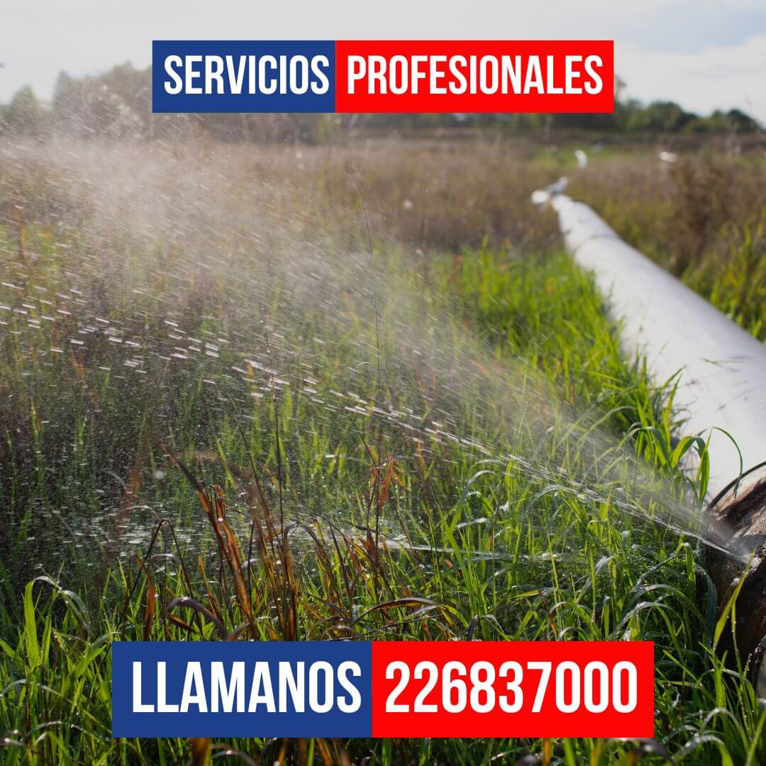 Técnico cambiando un aspersor pop-up dañado