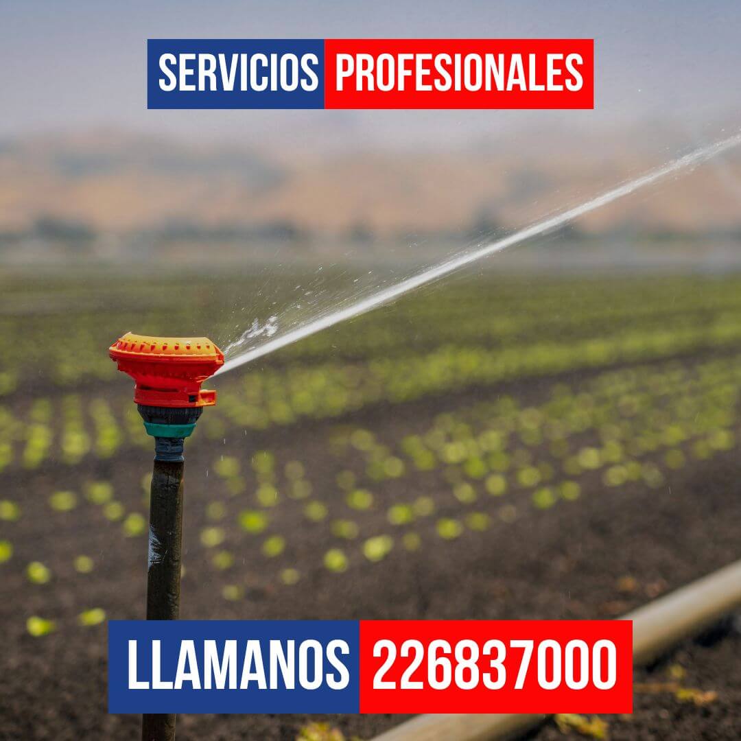 Línea de riego por goteo con emisores