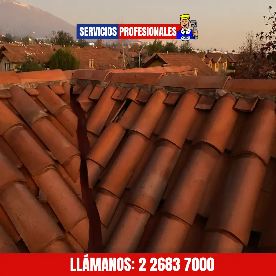 Filtración en techumbre - después