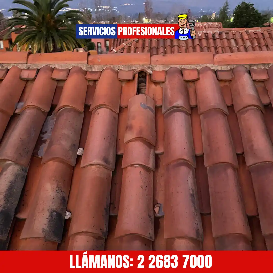 Filtración en techumbre - antes