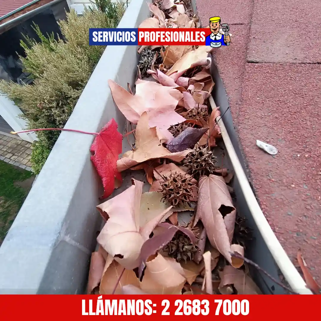 Limpieza y reparación de canaletas