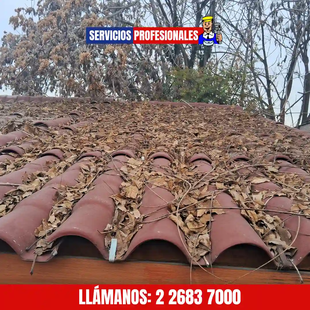 Equipo realizando cambio de techo en casa