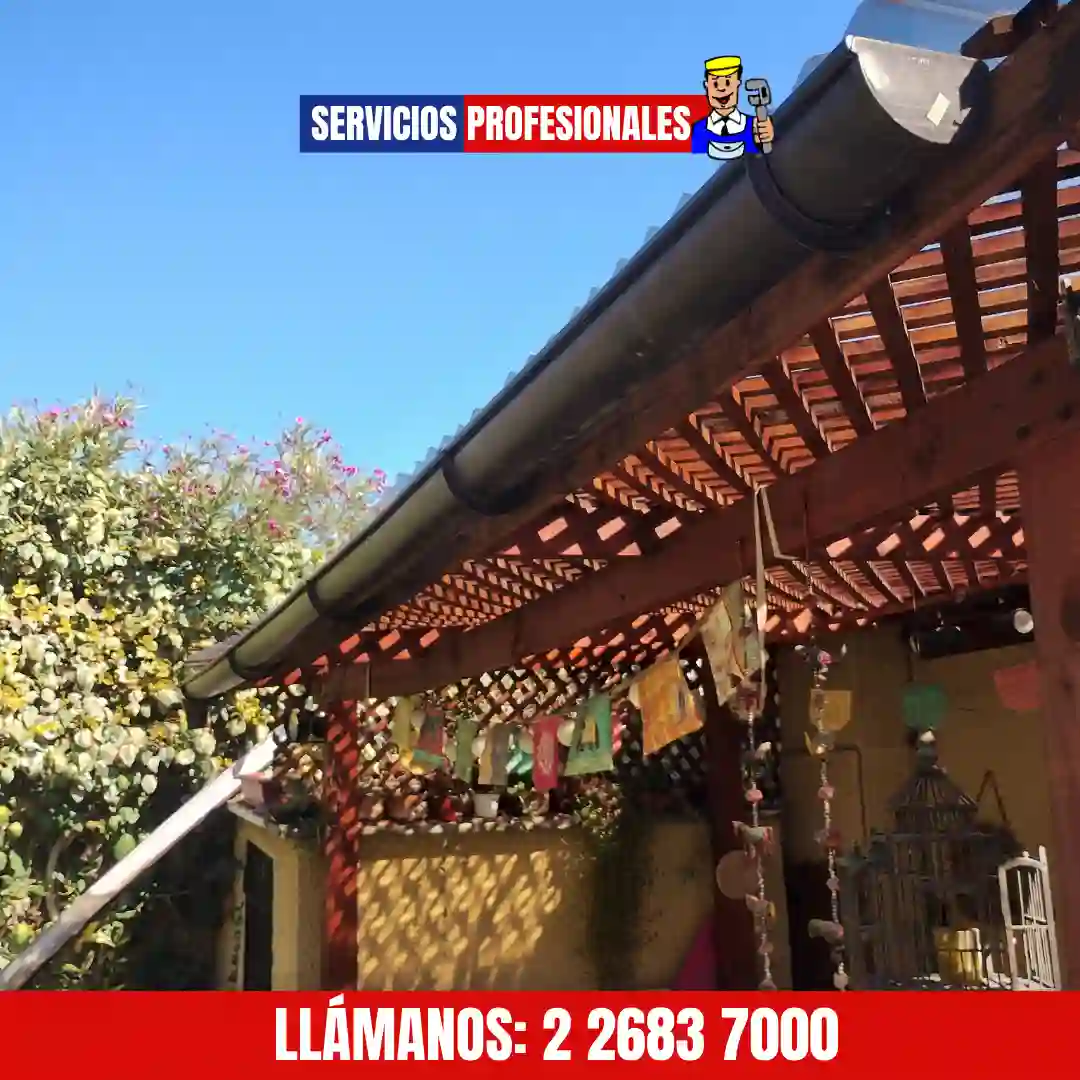 Limpieza de canaletas en techos de casas en Las Condes