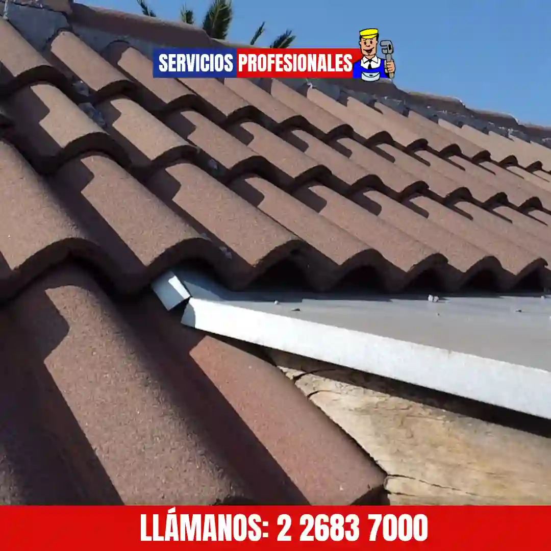 Techo de teja: impermeabilizar