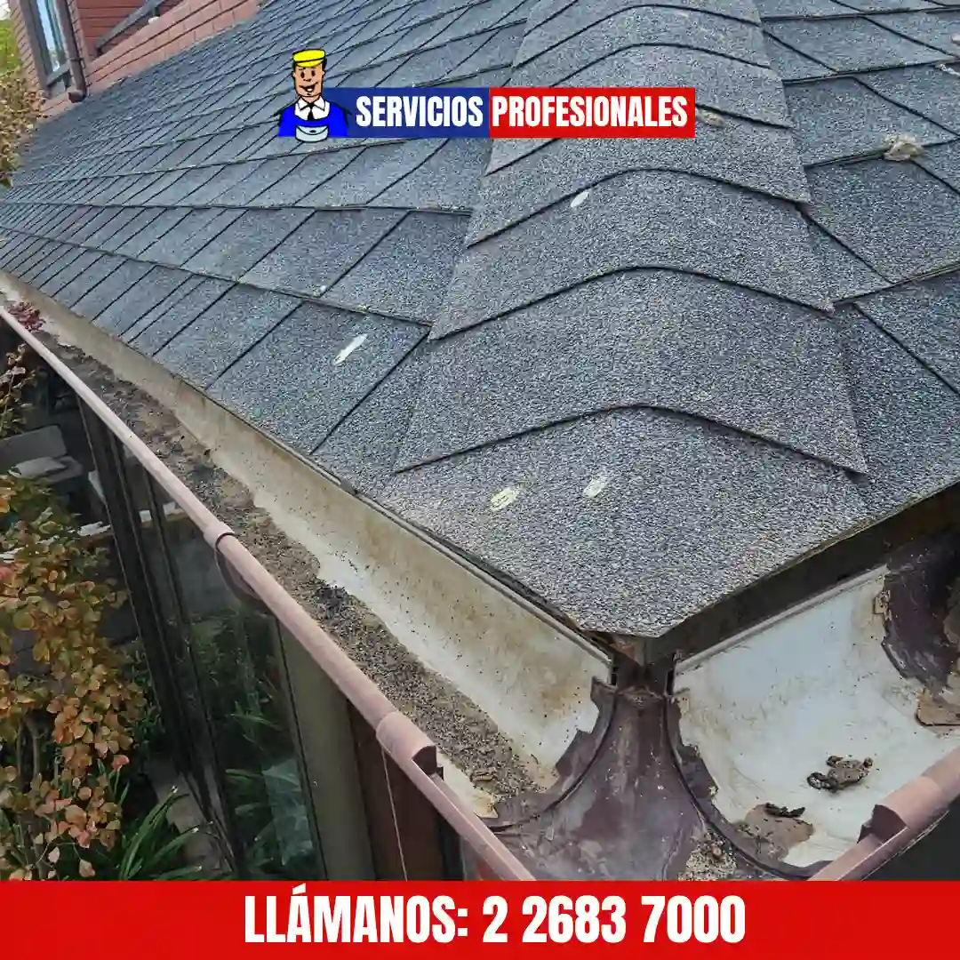 Mantención de canaletas y limpieza programada