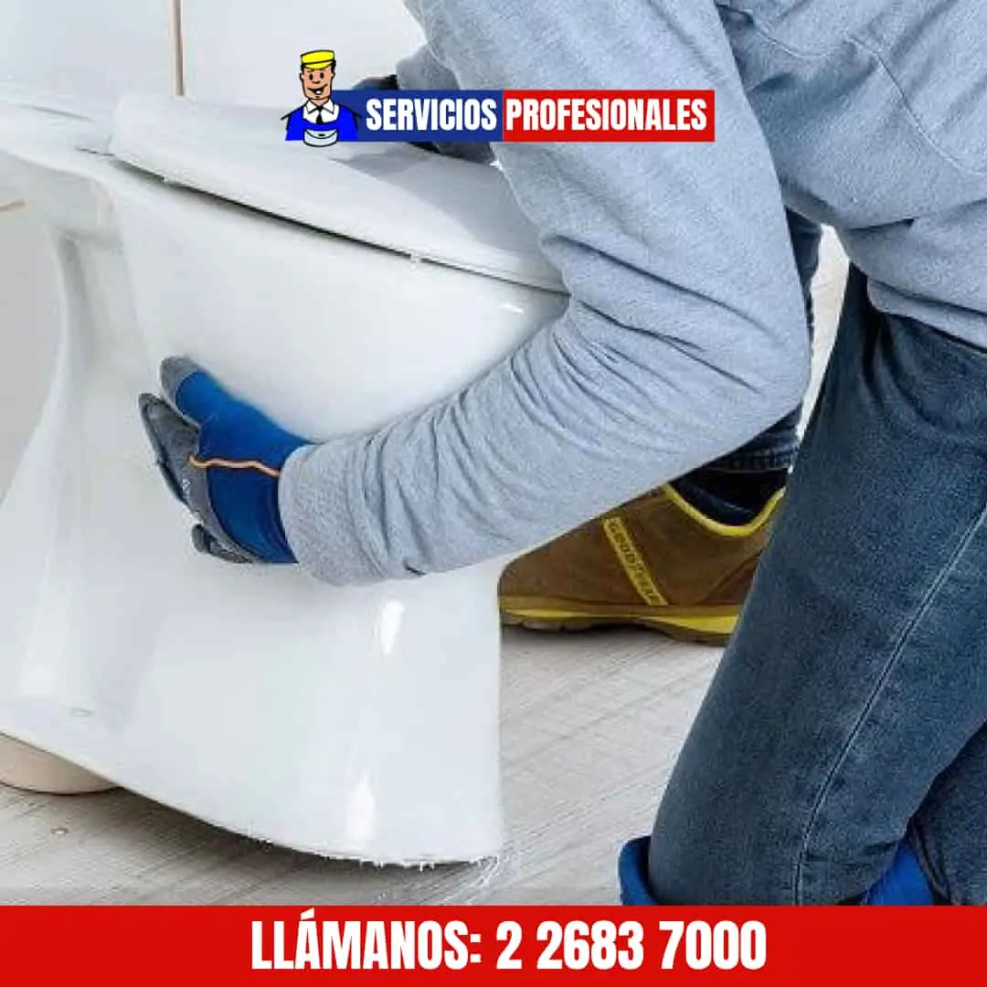 Reparación de WC en Providencia