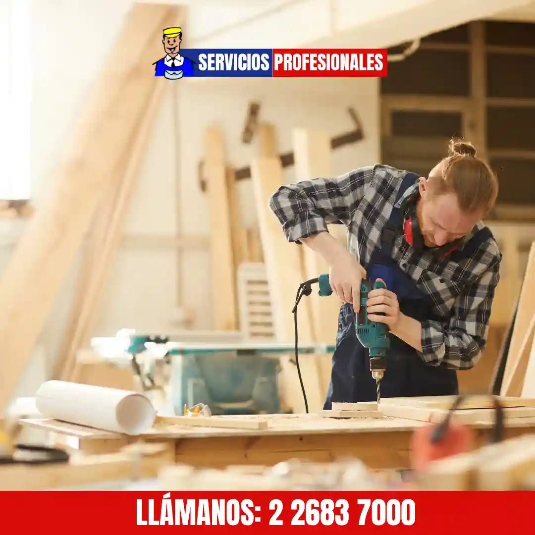 Carpintero trabajando en puerta de madera en Santiago