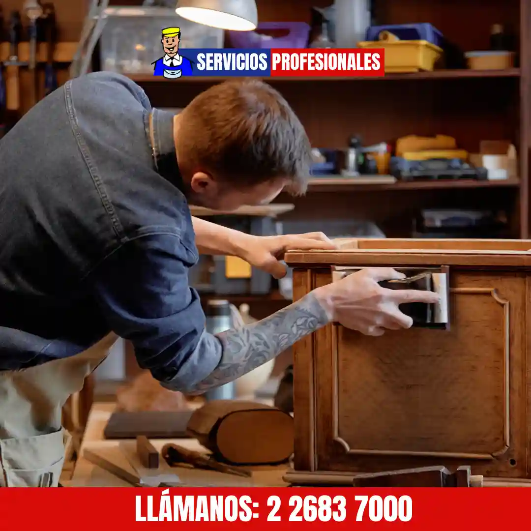 Mantención general que se coordina con carpintería