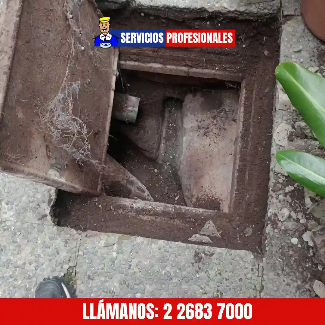 Limpieza de alcantarillado profesional en cámaras de patio