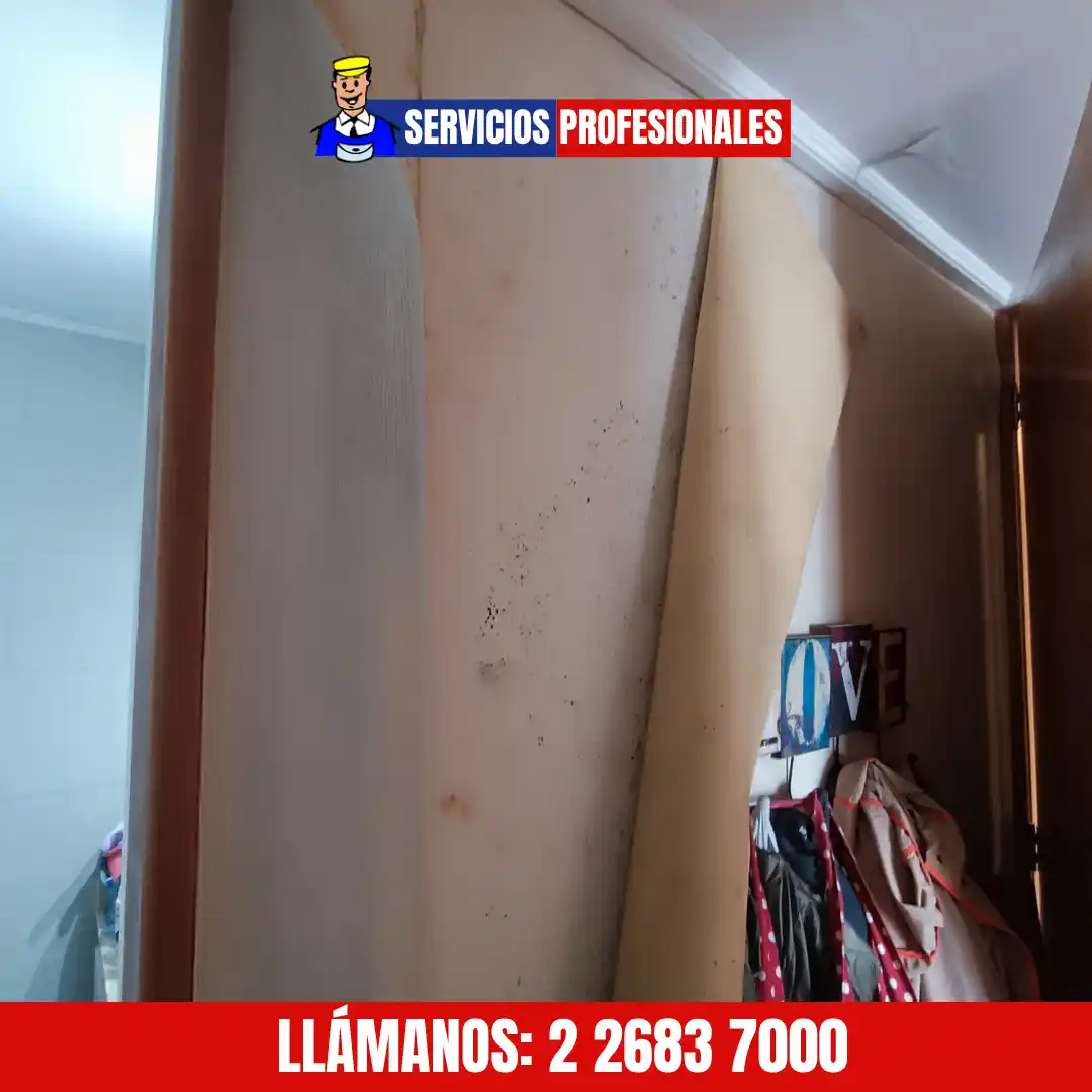 Detección de filtración en edificio de Providencia