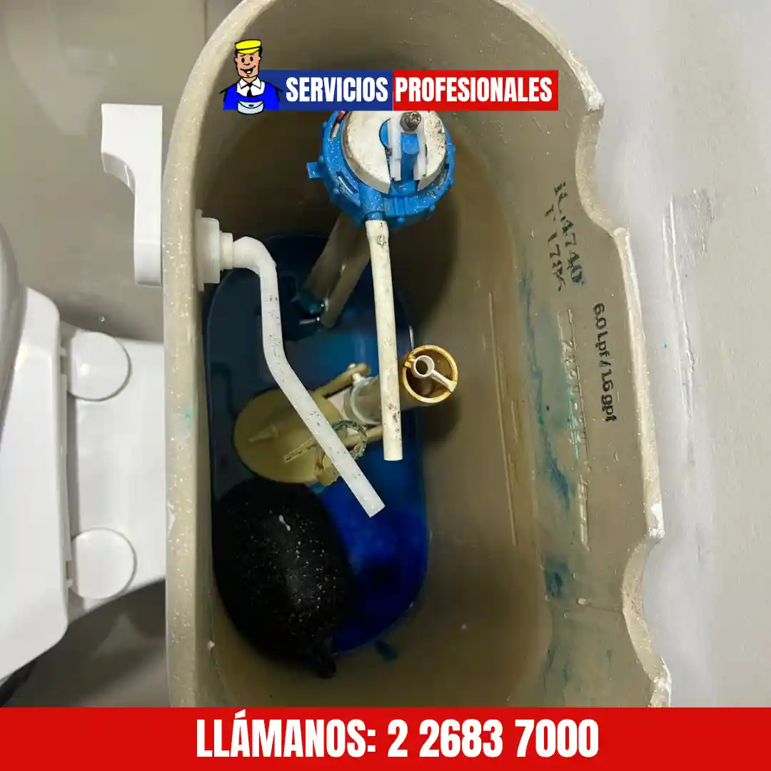 Técnico revisando estanque y WC tapado antes de realizar destape