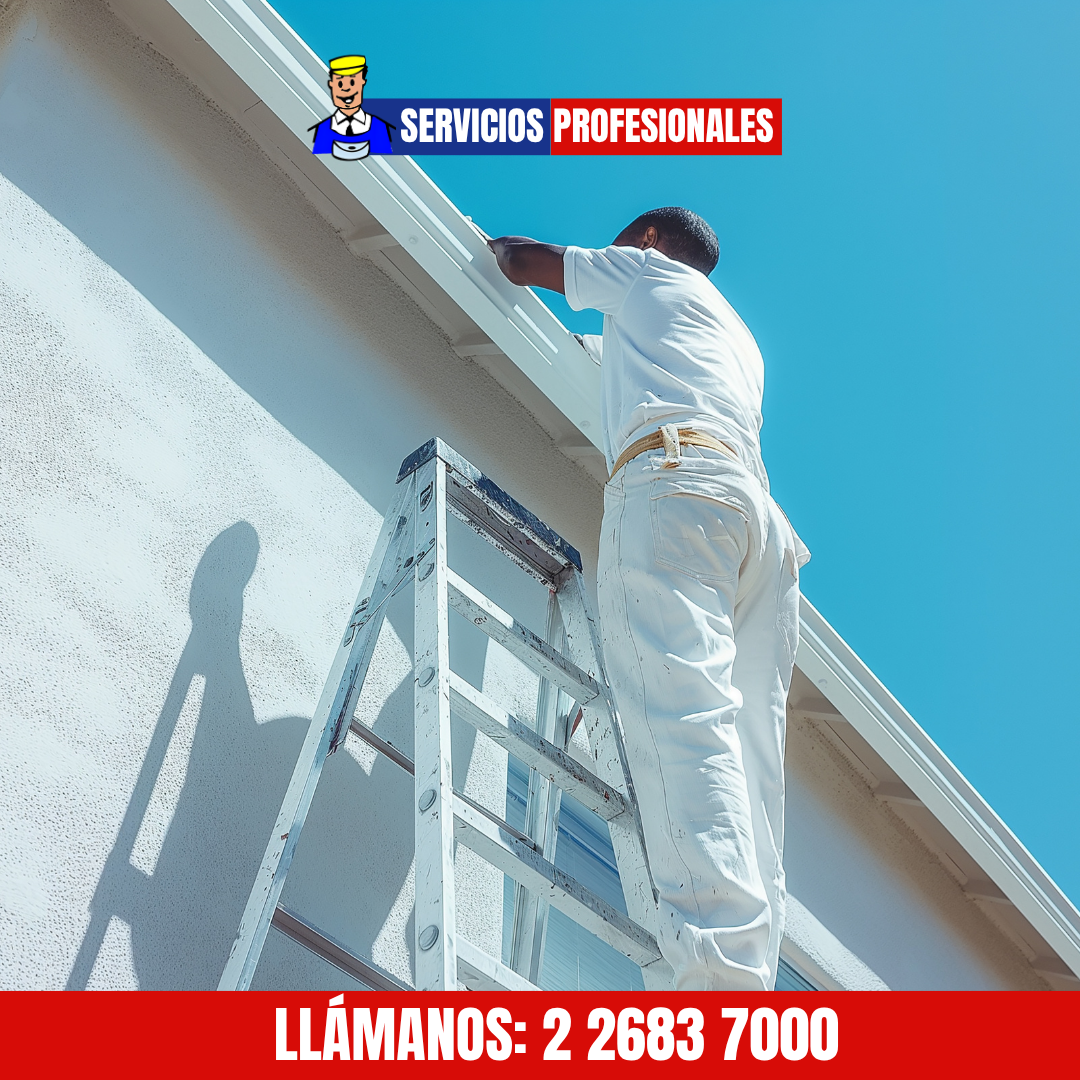 Limpieza y preparación de techo antes de pintar