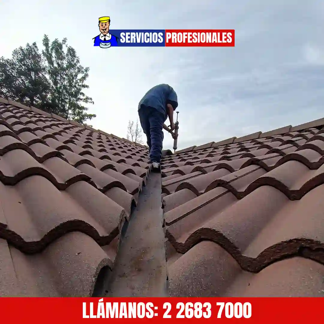 Techo recién cambiado con terminaciones prolijas