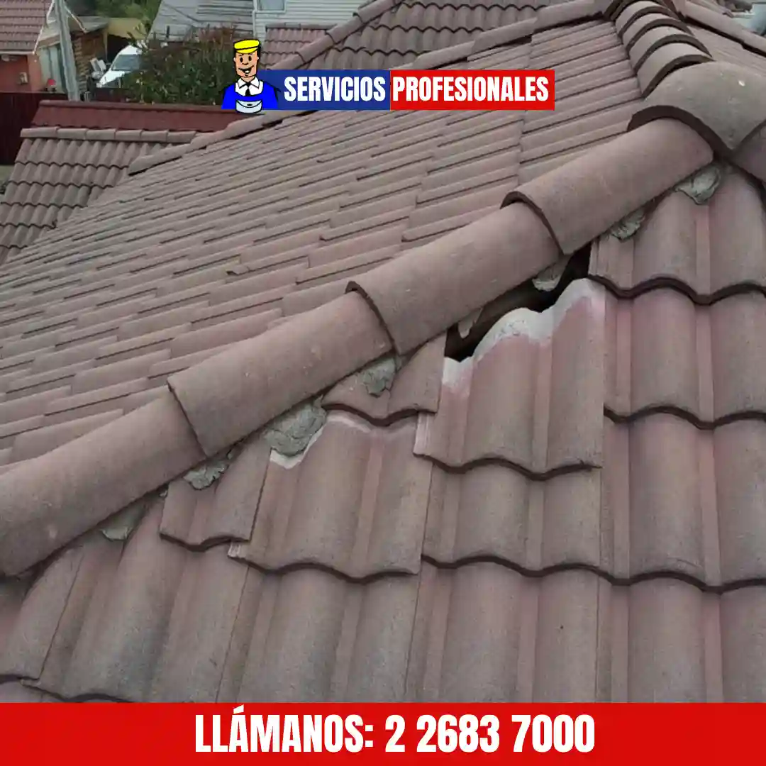 Mantención de techos en viviendas de Santiago